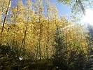 photo thumbnail #1