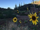 photo thumbnail #5