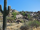 photo thumbnail #13