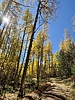 photo thumbnail #2