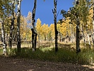 photo thumbnail #12
