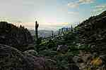 photo thumbnail #4