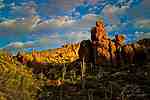 photo thumbnail #6
