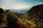 photo thumbnail #12
