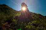 photo thumbnail #14