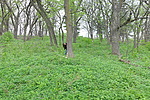 photo thumbnail #3
