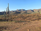 2019-10-05 :2: Tule Canyon Trail #122 :: wallyfrack