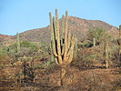photo thumbnail #6