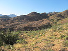 photo thumbnail #11