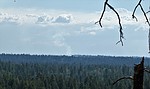 photo thumbnail #15