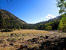 2019-10-04 :1: Inner Basin Trail #29 :: kingsnake