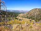 2019-10-04 :1: Inner Basin Trail #29 :: kingsnake