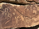 photo thumbnail #9