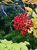 photo thumbnail #13