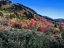 photo thumbnail #10