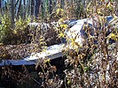 photo thumbnail #2