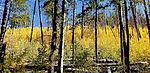 photo thumbnail #2