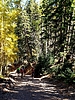 photo thumbnail #7