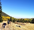 photo thumbnail #9