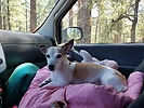 photo thumbnail #15