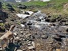 photo thumbnail #7