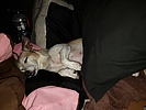 photo thumbnail #15
