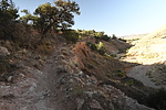 photo thumbnail #6