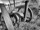 photo thumbnail #6