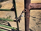 photo thumbnail #10