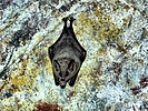 photo thumbnail #12