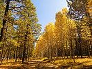 photo thumbnail #15