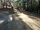photo thumbnail #14