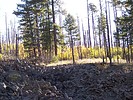 photo thumbnail #4
