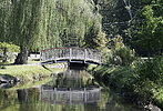 photo thumbnail #6