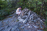 photo thumbnail #5