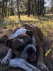 photo thumbnail #3