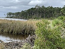 photo thumbnail #11