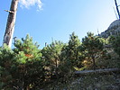 photo thumbnail #4