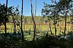 photo thumbnail #12