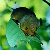 photo thumbnail #14