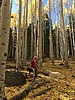 photo thumbnail #2