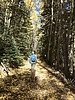photo thumbnail #5