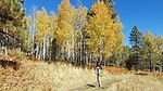 photo thumbnail #3