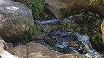 photo thumbnail #14