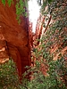 photo thumbnail #13
