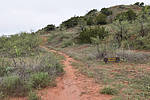 photo thumbnail #6