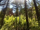 photo thumbnail #6