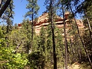 photo thumbnail #8