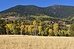 photo thumbnail #10