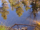 photo thumbnail #7